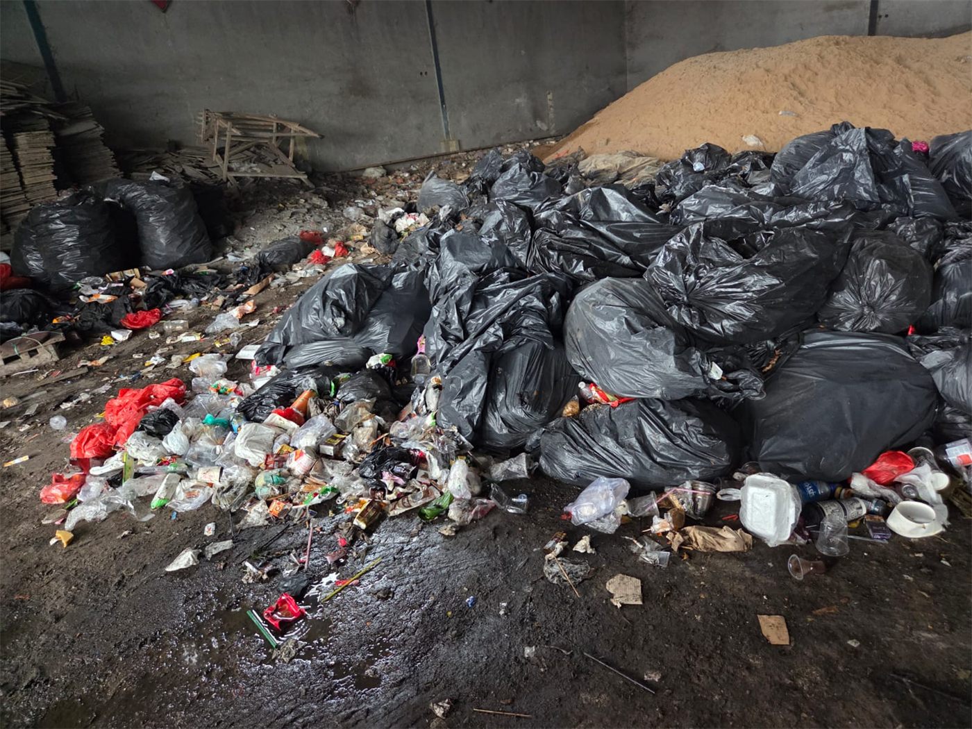 Survei timbunan sampah organik di lokasi